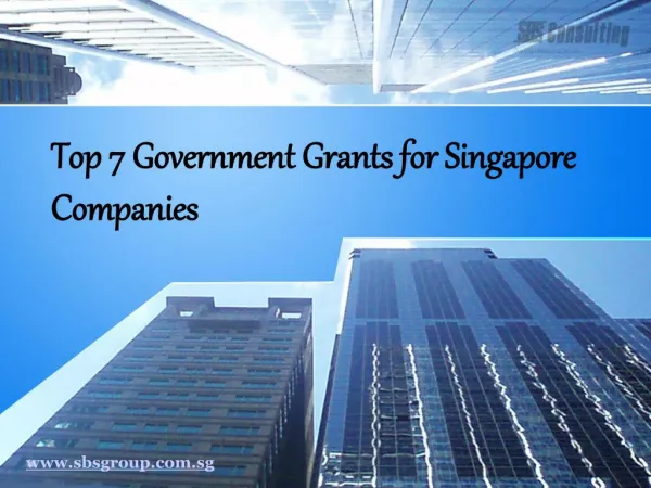 Top 7 Singapore Grants for Companies