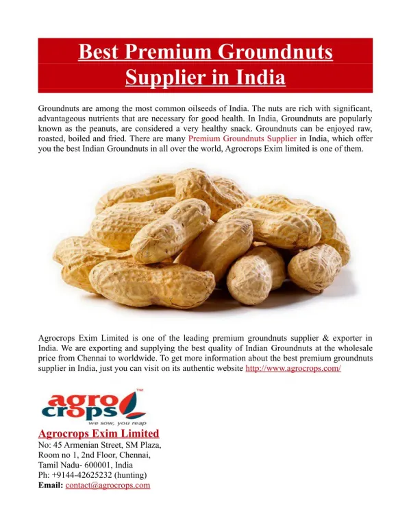 Best Premium Groundnuts Supplier in India