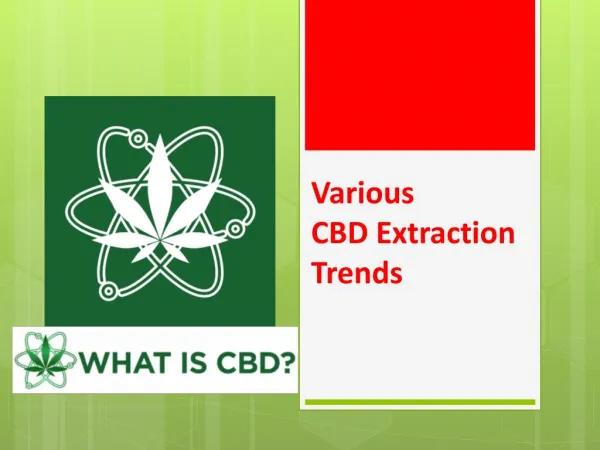 Various CBD Extraction Trends