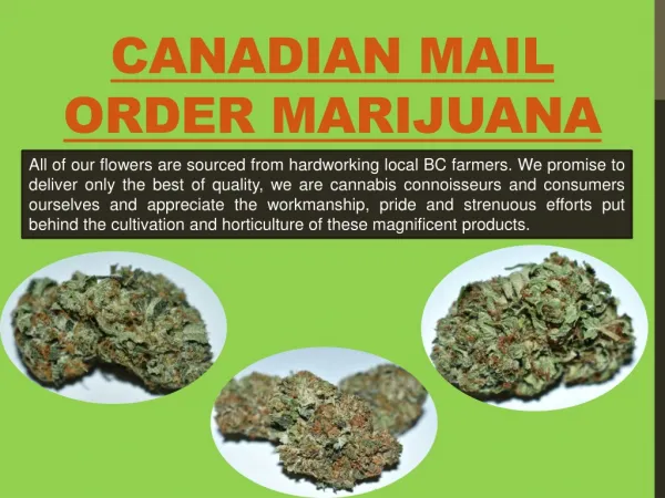 Legit Mail Order Marijuana Services