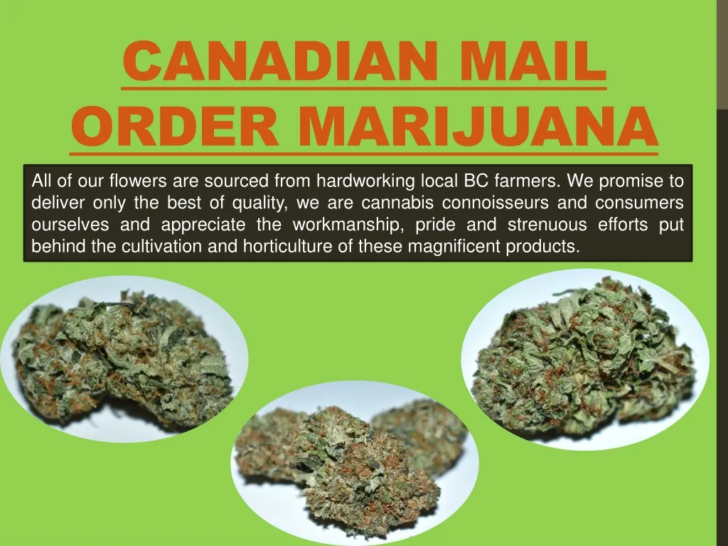 canadian mail order marijuana all of our flowers
