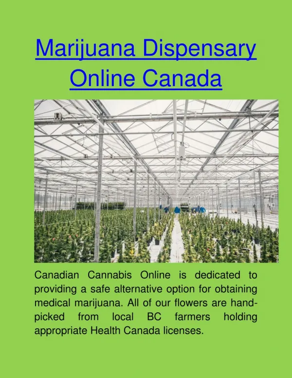 Online Cannabis Dispensary Canada