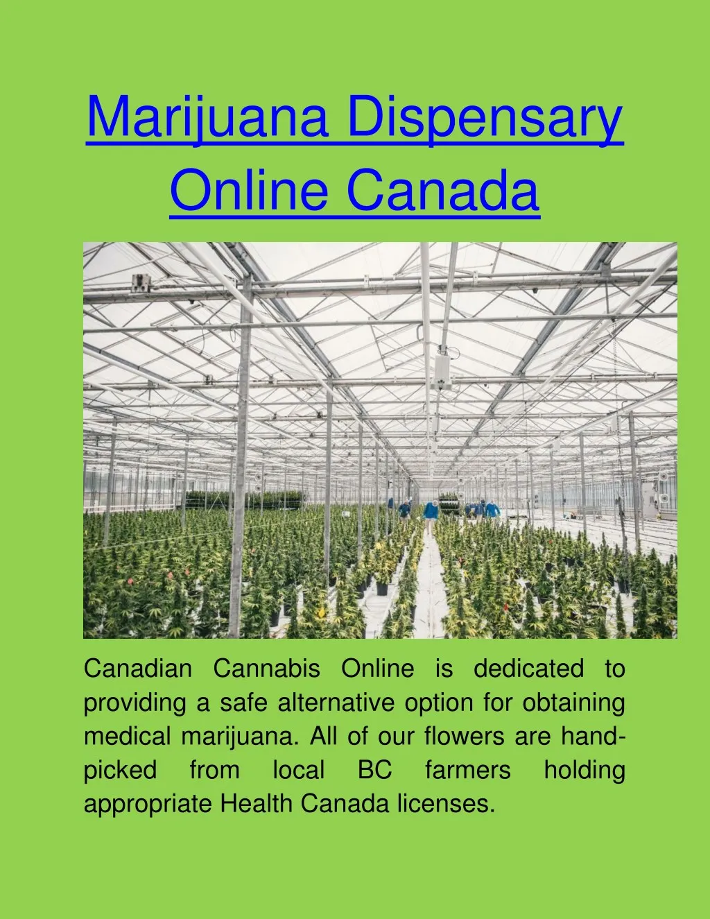 marijuana dispensary online canada