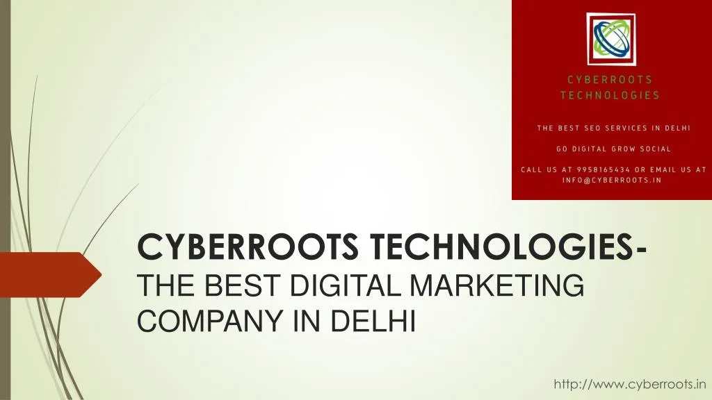 cyberroots technologies the best digital marketing company in delhi