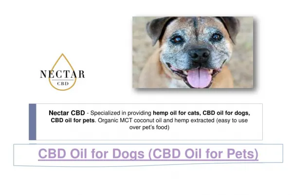 CBD Oil for Dogs (CBD Oil for Pets)