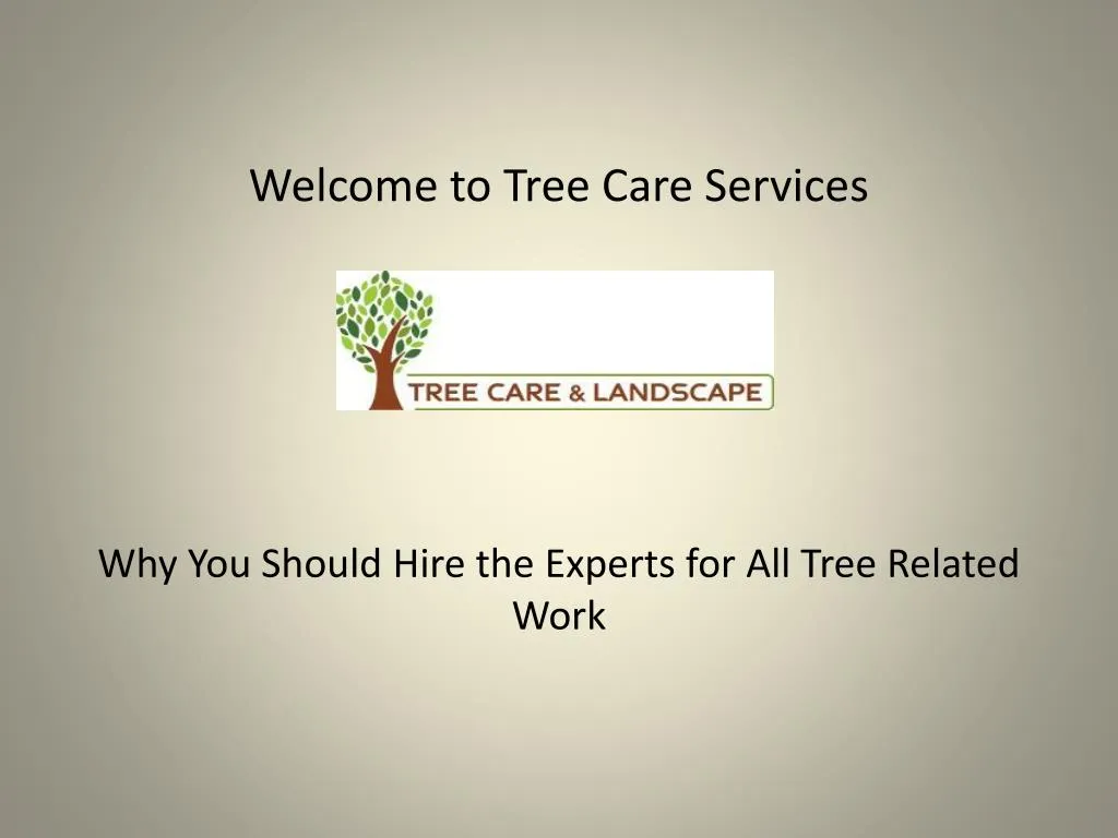 welcome to tree care services