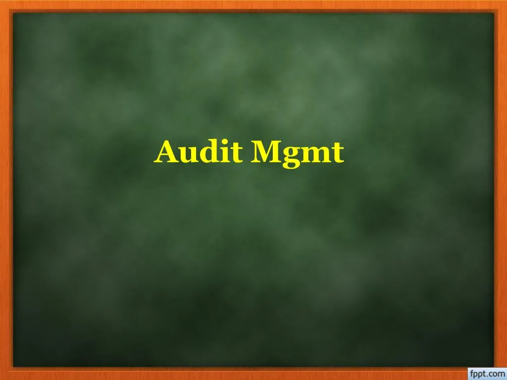 audit mgmt