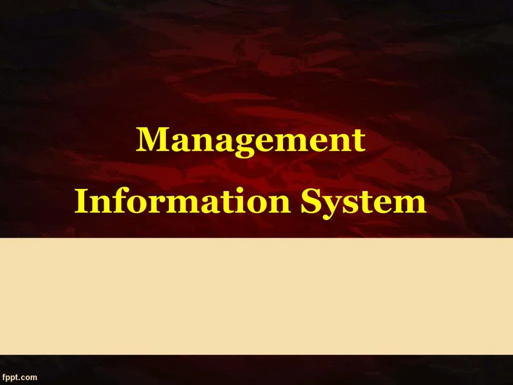 management information system