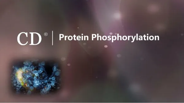 Protein Phosphorylation-Creative Diagnostics