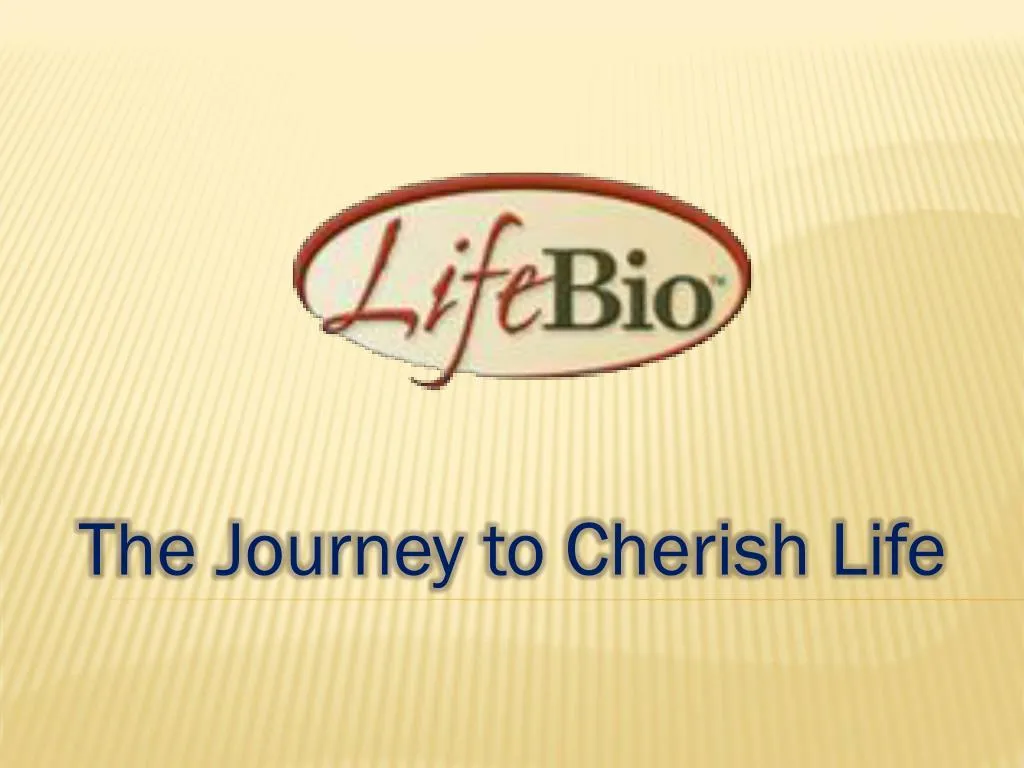 the journey to cherish life