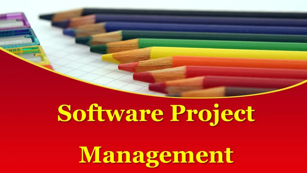 software project management