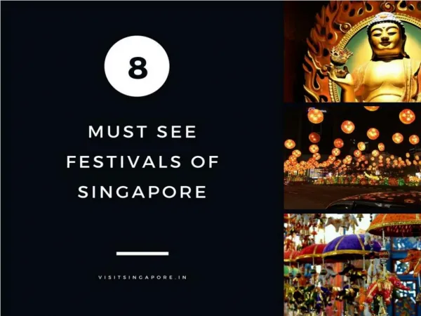 Singapore Festival-Unity in Diversity