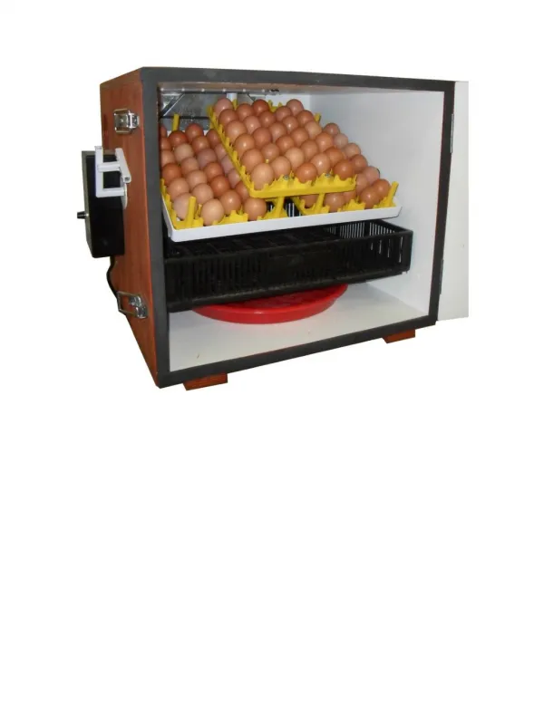 How To Hatch Chicken Eggs, Incubator For Chickens, Duck Eggs Hatching, Egg Incubation Temperature