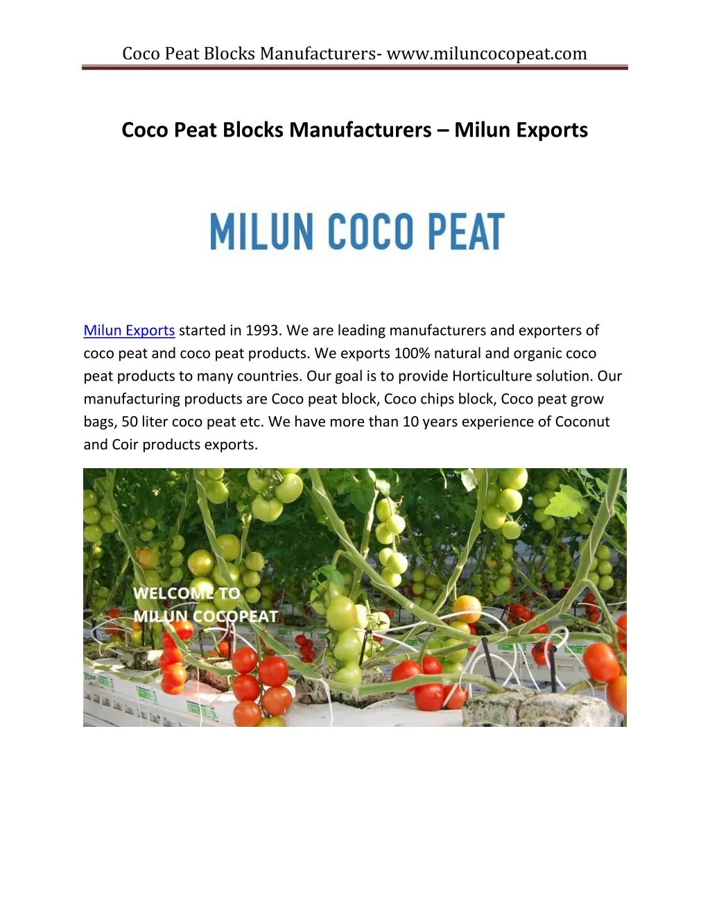 coco peat blocks manufacturers www miluncocopeat