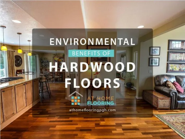 Top 5 Environmental Benefits of Hardwood Floors