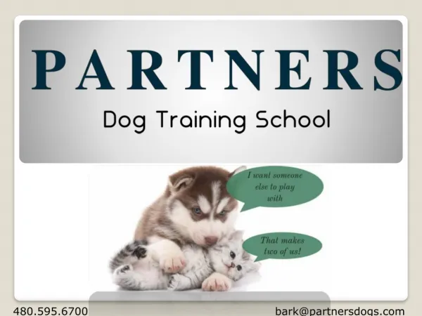 Group Dog Training Classes Near Me