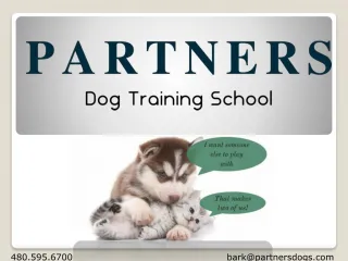 Group Dog Training Classes Near Me - slide 1
