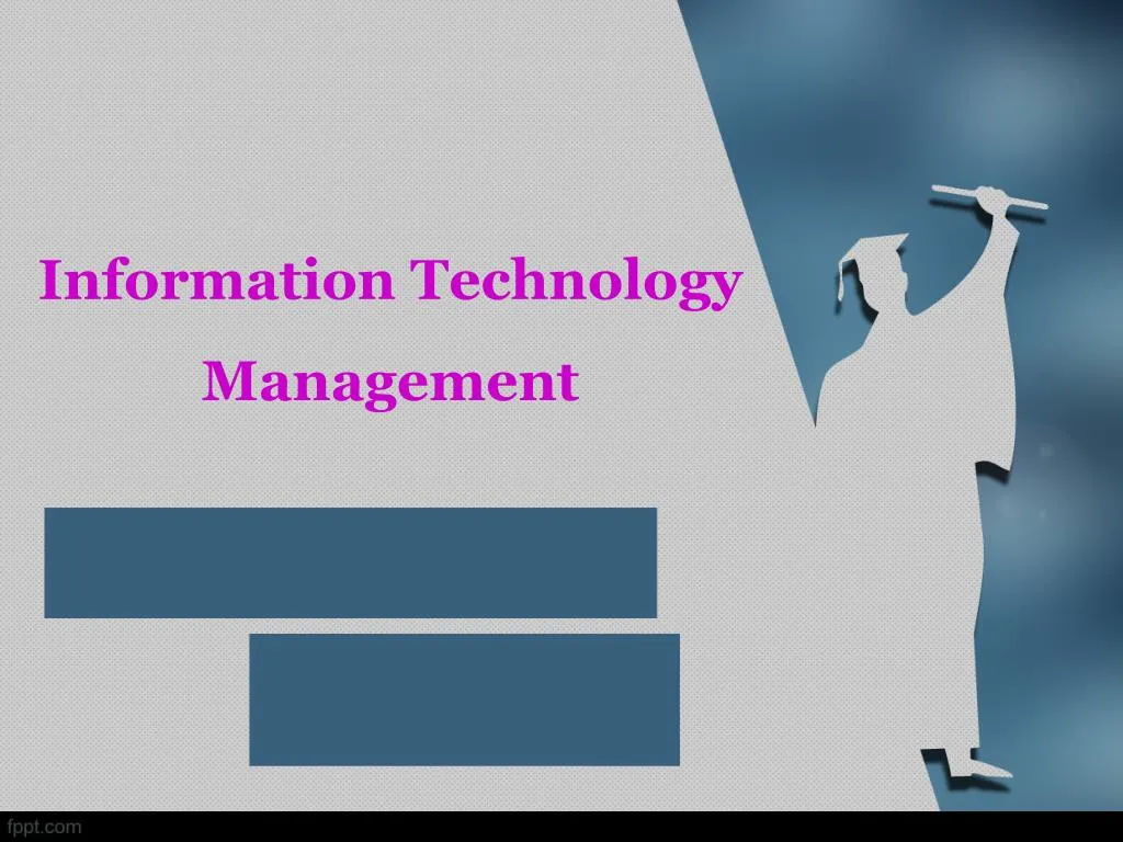 information technology management
