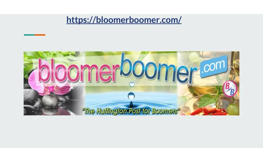 https bloomerboomer com
