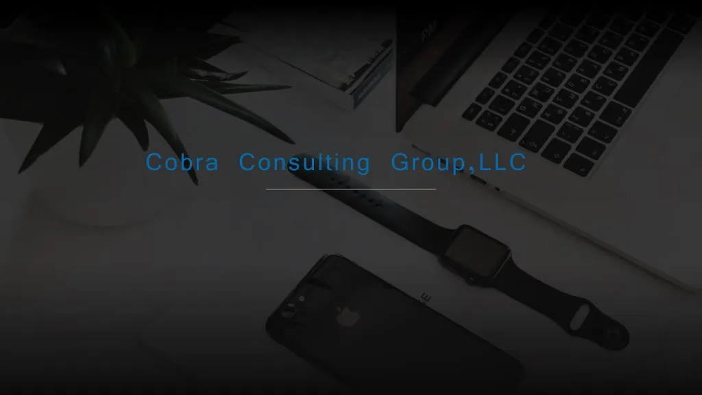 cobra consulting group llc