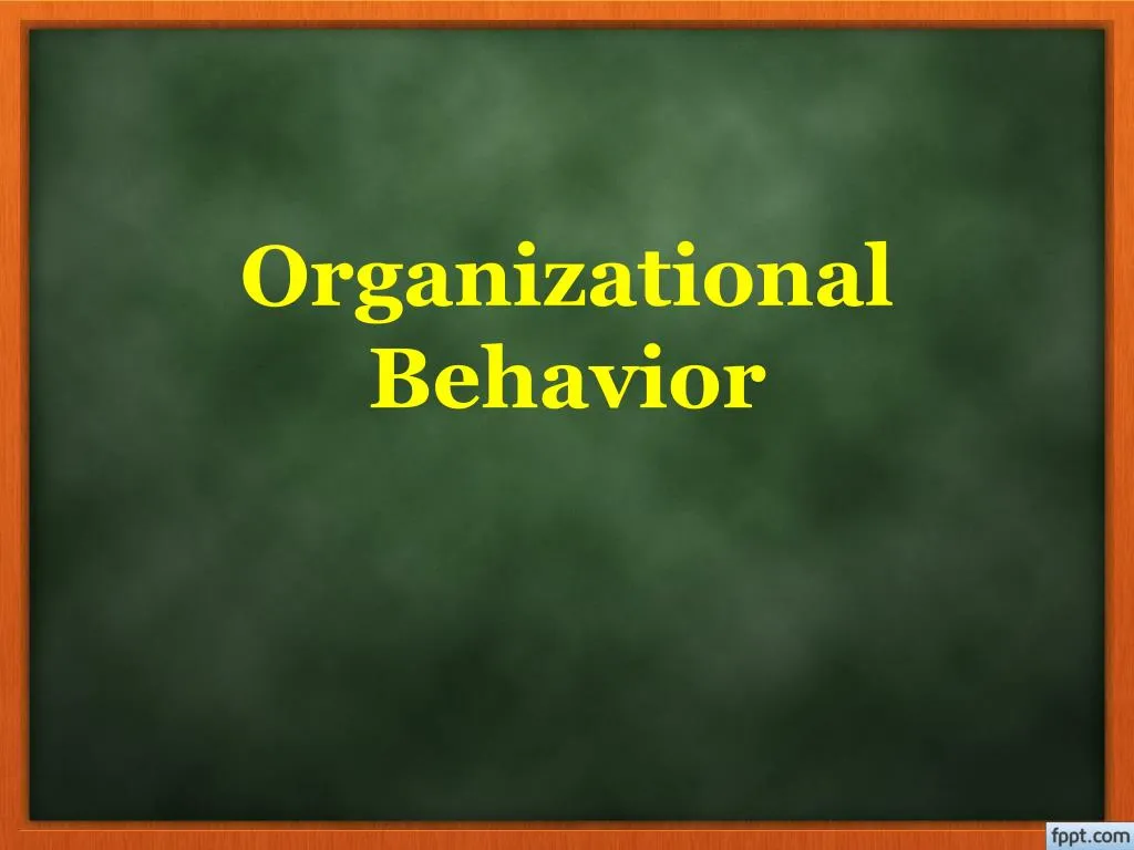 organizational behavior