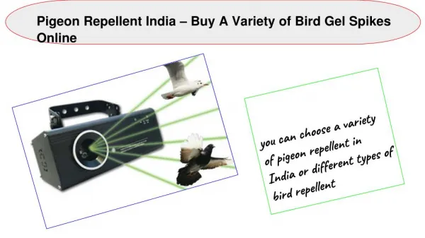 Pigeon Repellent India – Buy A Variety of Bird Gel Spikes Online