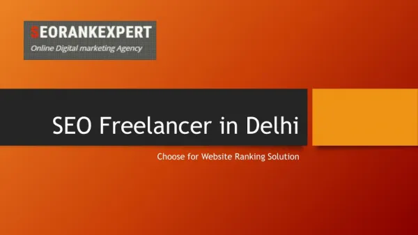 Seo freelancer expert in delhi and mumbai