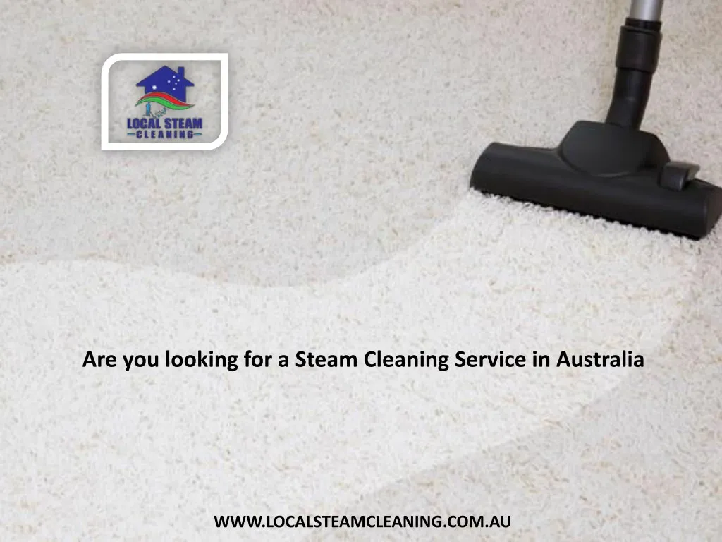 are you looking for a steam cleaning service
