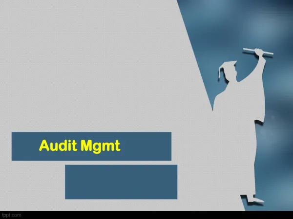 audit mgmt