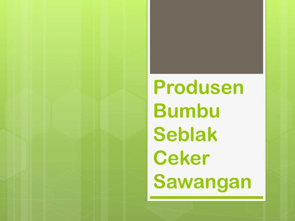 produsen bumbu seblak ceker sawangan