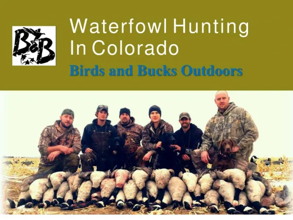 Waterfowl Hunting In Colorado