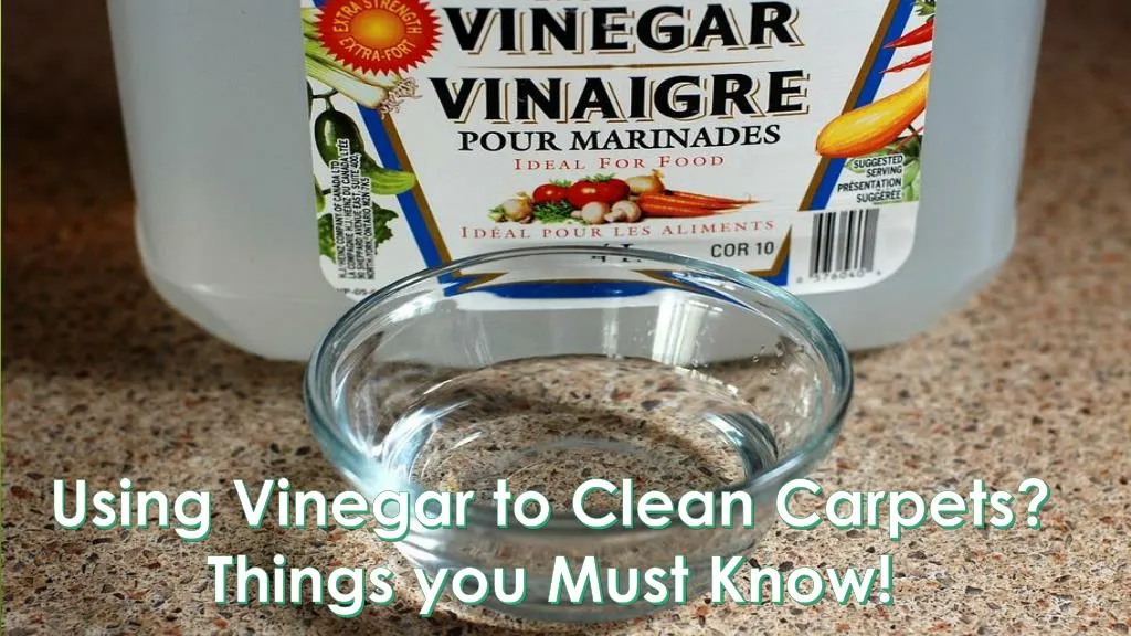 using vinegar to clean carpets things you must