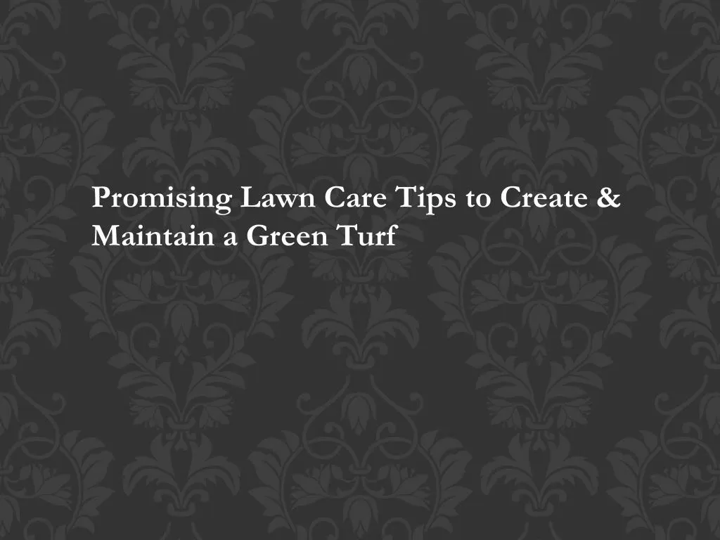 promising lawn care tips to create maintain