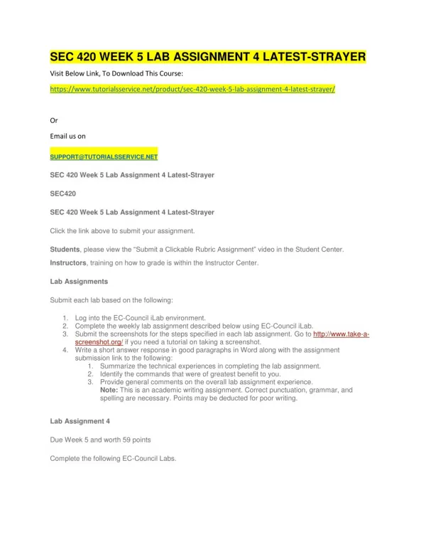 sec 420 week 5 lab assignment 4 latest strayer