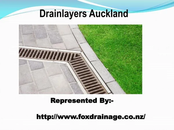 Drainlayers Auckland