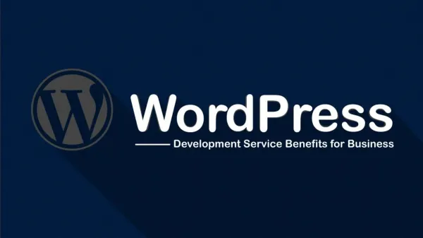 3 Ways in which WordPress Development Services Can Benefit Your Business