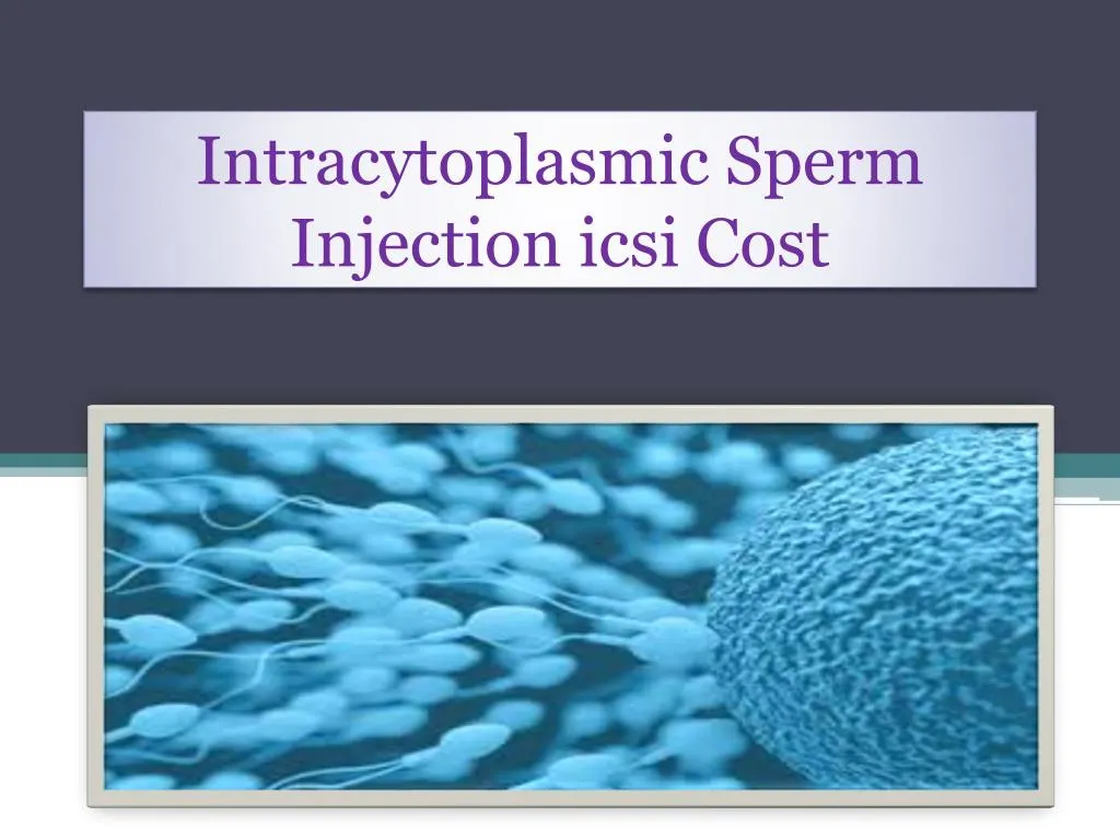 intracytoplasmic sperm injection icsi cost