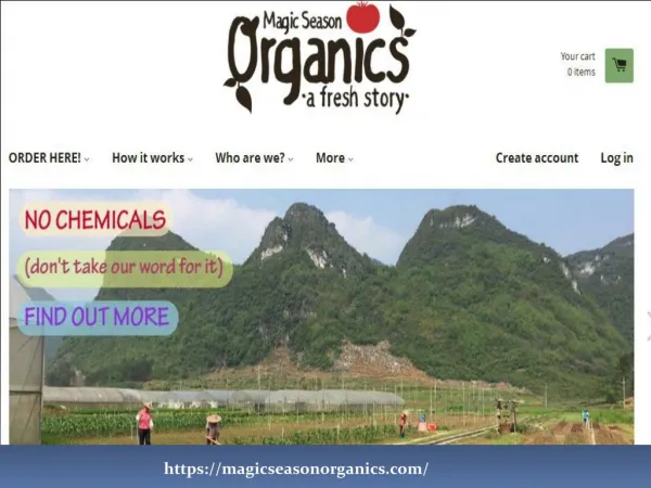 Organic Food Delivery Hong Kong