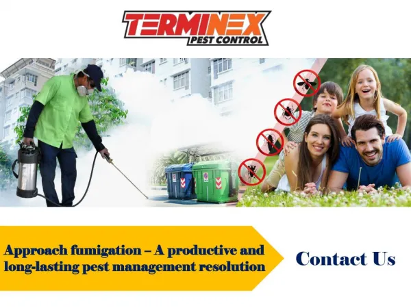 Approach fumigation – A productive and long-lasting pest management resolution