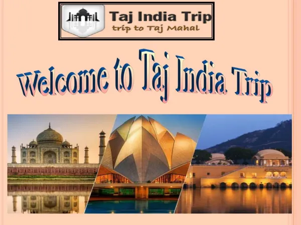 Offer on golden triangle, India tour package, Same day tour, Rajasthan tour plan