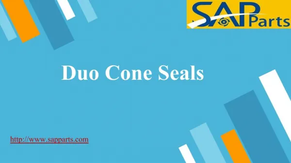 Duo Cone Seals