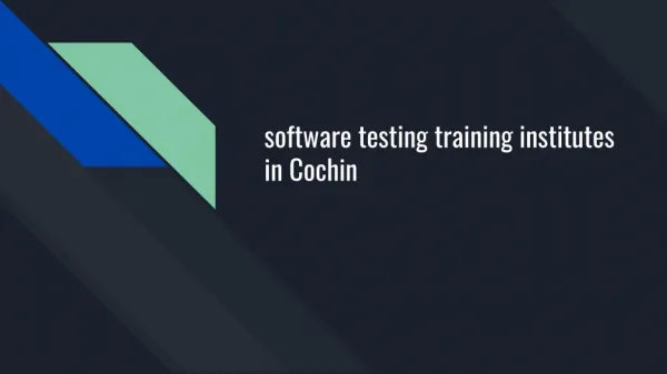 software testing