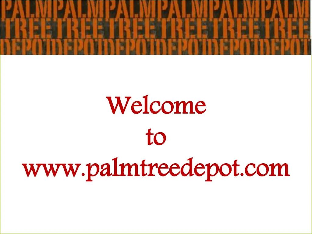 welcome to to w palmtre