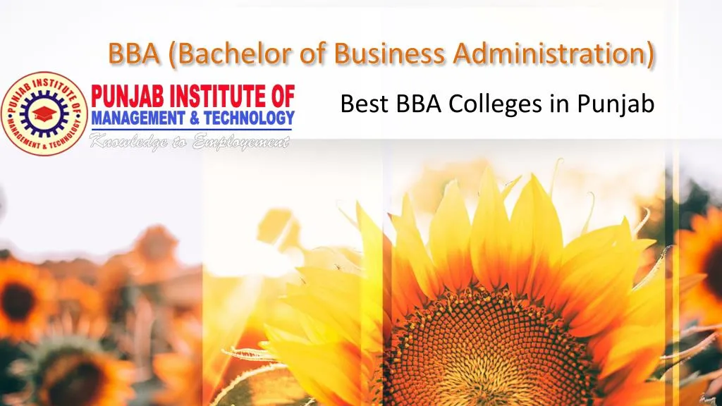 bba bachelor of business administration