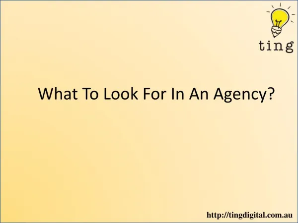 What To Look For In An Agency?