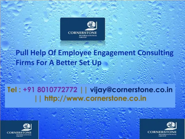 Pull Help Of Employee Engagement Consulting Firms For A Better Set Up