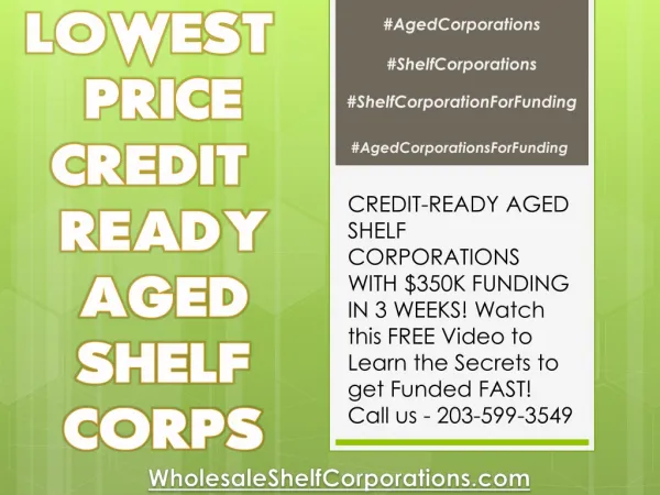 LOWEST-PRICE CREDIT-READY AGED SHELF CORPS - WholesaleShelfCorporations.com