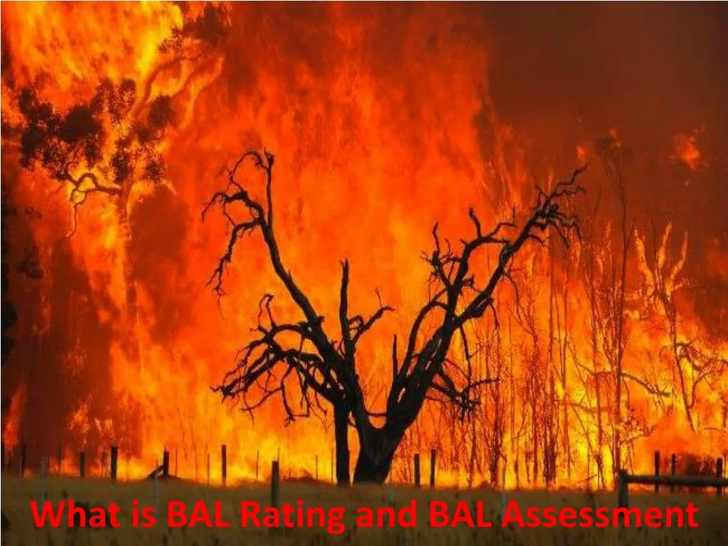 what is bal rating and bal assessment