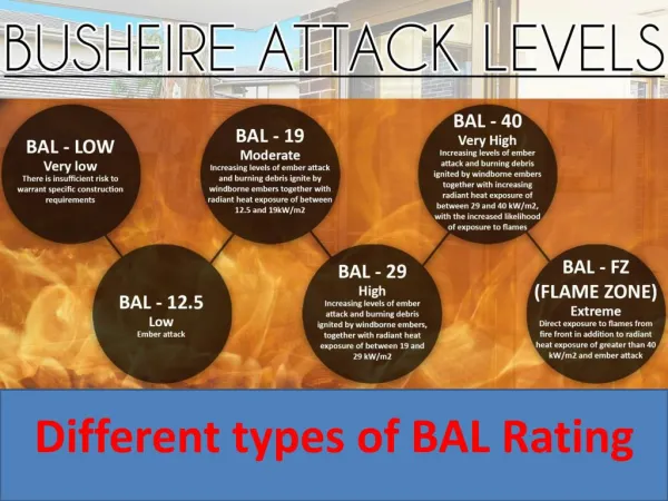 Different types of BAL Rating