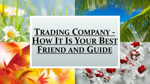 How It Is Your Best Friend And Guide - Trading Company